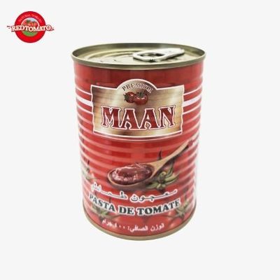 800g Concentrado Duplo de Tomate Enlatado Brix 22-24% Marca Personalizável Disponível