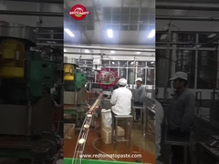 Pasta de tomate enlatada