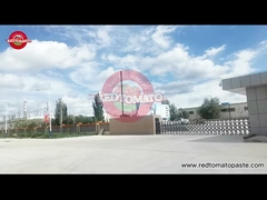 Sobre os alimentos de tomate vermelho