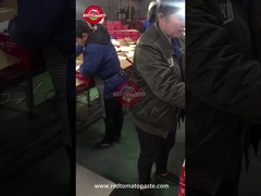 Controle de qualidade na linha