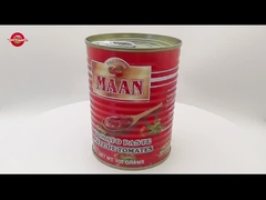 800g Concentrado Duplo de Tomate Enlatado Brix 22-24% Marca Personalizável Disponível